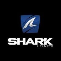 Shark" in Italian is "squalo".