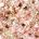 Champagne e rosa 3D lucido