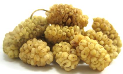 Gelso bianco