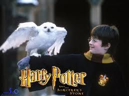 Harry Potter e la Pietra Filosofale